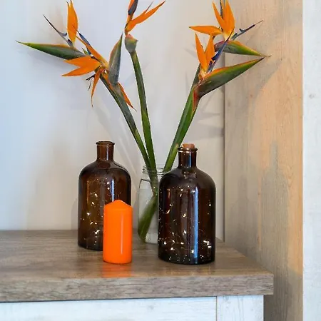 Daire Yuli Puerto de la Cruz (Tenerife)